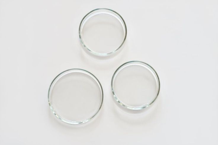 Petri Dish